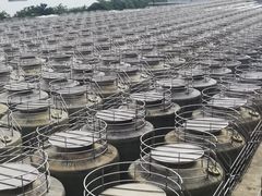 -厨邦酱油文化博览馆