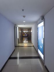 -刺客纹画·纹身·洗纹身.穿孔饰品