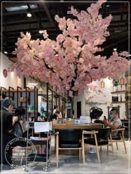 -简影造型·自选烫染接发salon