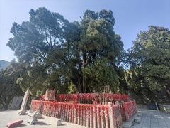-四门塔风景区