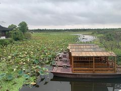 -上海海湾国家森林公园