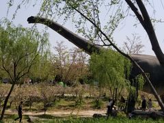 -自然谷恐龙园