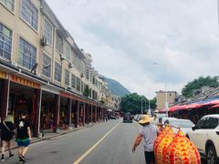 -悦城龙母祖庙
