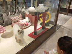 -上海尚嘉中心