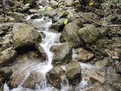 -燕子河大峡谷天坑仙境