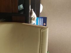 -北京长白山国际酒店(鸟巢店)