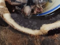 原只椰子炖竹丝鸡-達揚原味燉品(文明路店)