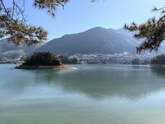 -广州市流溪河国家森林公园