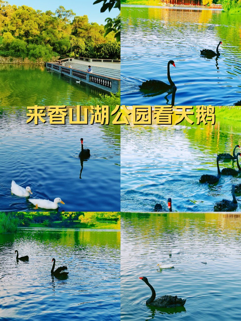 珠海公园/香山湖公园