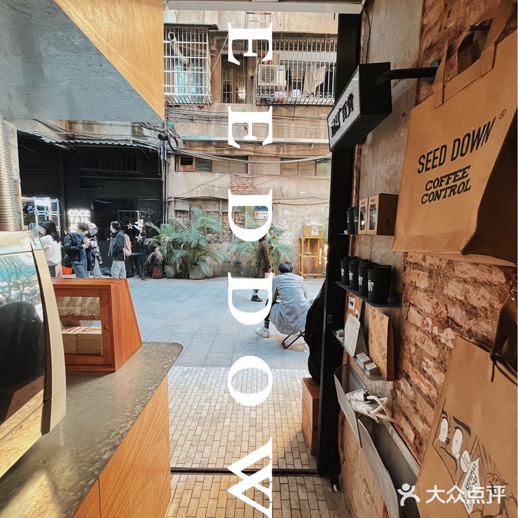 东山新晋打卡适档coffee SEED DOWN