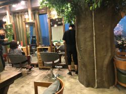 -V-STAR威斯达•高级私人定制