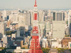 -六本木新城展望台(东京城市景观)