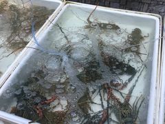 -拉威海鲜市场
