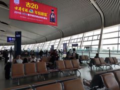-合肥新桥国际机场-航站楼