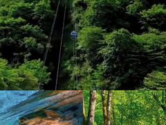 -光雾山旅游景区