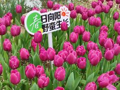 -杭州电子科技大学(下沙校区)