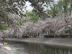 -元大都城垣遗址公园