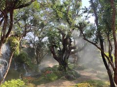 -Chom Cafe and Restaurant