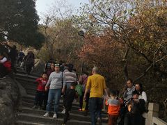 -灵岩山风景区