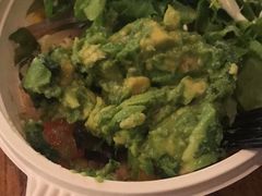 -油梨树 AVOCADO TREE(亮马桥店)