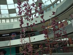 -万达广场(松江店)