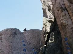 -崂山巨峰游览区