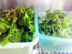 野菜-品品野菜铜火锅(文汇路店)
