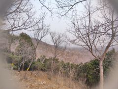 -北宫国家森林公园