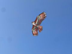 -幕燕滨江·燕子矶公园