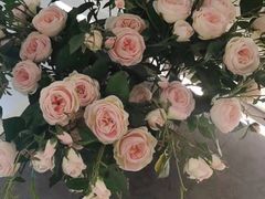 -左悦·艾灸调理·推拿按摩·精油SPA(卓悦汇店)
