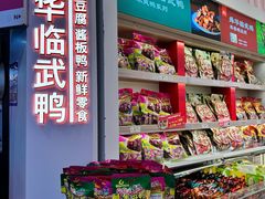 -舜华临武鸭·湖南零食特产(三王街店)
