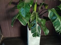 -阿伟海鲜楼·福建菜(涵江店)