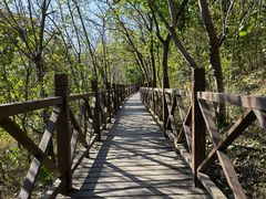 -北京西山国家森林公园