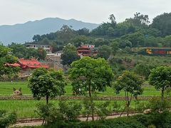-福建土楼（华安）旅游区•大地土楼群