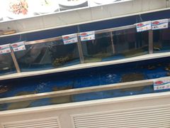 水产区-普天和酒楼·新津菜·烤鸭(天津之眼店)