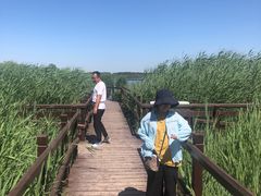 -西青郊野公园