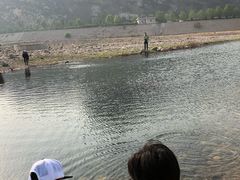 -燕塞湖鸟语林景区