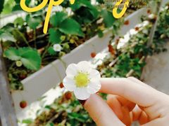 -普迪生态园