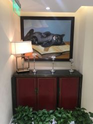 -咪咪比基尼脱毛专业店