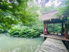 -杭州半山国家森林公园