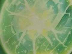 -Xcape异时刻密室逃脱魔法互动(瑞虹天地太阳宫店)