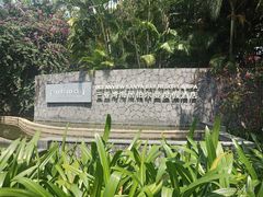 -三亚湾海居铂尔曼度假酒店