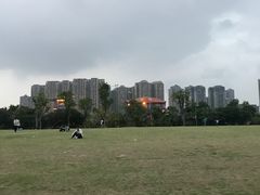 -凤岭儿童公园