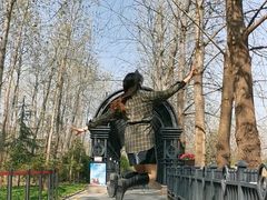 -合肥滨湖国家森林公园