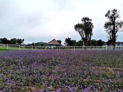 -渔岛海洋度假区