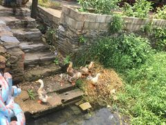 -双峰山国家森林公园-售票处