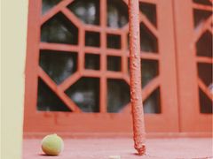 -天目山大树王景区