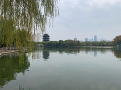 -颜家菜·鲁菜世家(大明湖店)