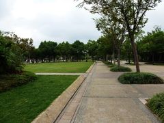 -新江湾城公园