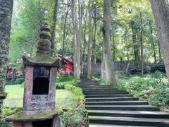 -青城山